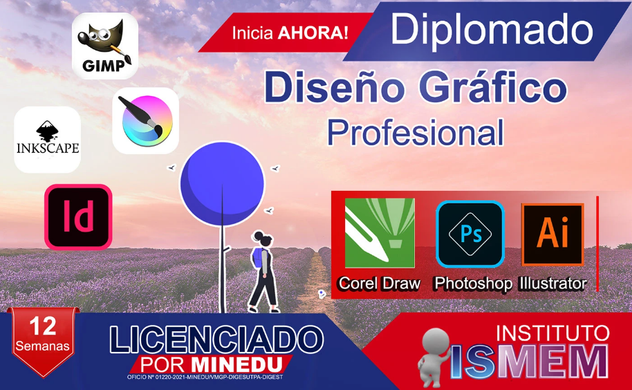Diseño grafico profesional 